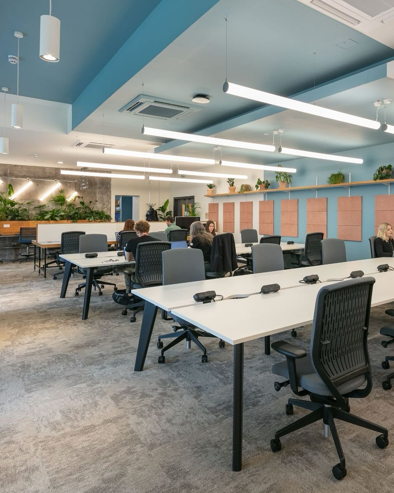 View this post on Instagram